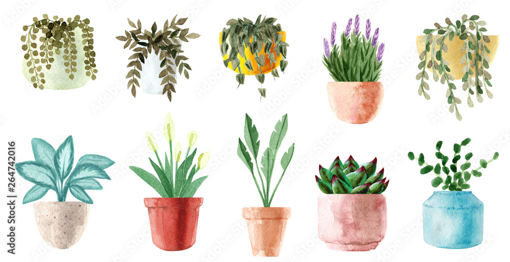 Watercolor houseplants. Hand painted house green plants in flower pots ...