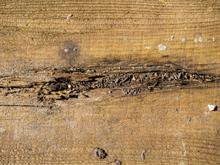 Old natural wooden shabby background close up