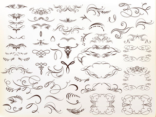 Wall Mural - huge collection of vector calligraphic flourishes for design
