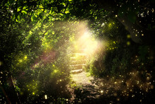 Road And Stone Stairs In Magical And Mysterious Dark Forest With Mystical Sun Light And Firefly. Fairy Tale Concept