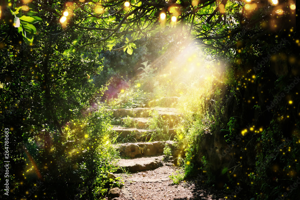 Road and stone stairs in magical and mysterious dark forest with mystical sun light and firefly. Fairy tale concept - obrazy, fototapety, plakaty 
