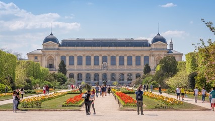 Wall Mural - Jardin des Plantes, Paris, France 