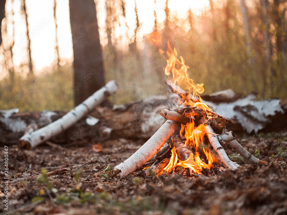 Bonfire in forest at sunset - obrazy, fototapety, plakaty 