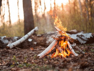bonfire in forest at sunset