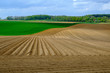 © Trish Hamilton - Waterloo Battlefields
