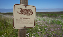 Watch Out For Rattlesnakes Sign