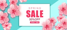Spring Sale Background With Pink Cherry Blossoms Realistic Flowers.