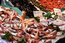 Palma Mallorca, Spain - March 20, 2019 : Fresh Fish And Seafood Display For Sale In The Local Fish Market Stall