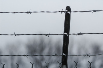 barbed wire on background of blue sky