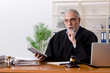 © Elnur - Aged lawyer working in the courthouse
