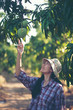 © chokniti - young women farmer, mango farm