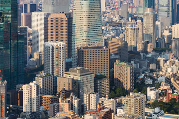  Panoramic aerial view on ultramodern busy capital city from a high skyscraper. Breathtaking cityscape seen on a summer day in Roppongi, Minato-ku district, Tokyo, Japan, Asia