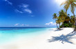 Panorama eines tropischen Strandes auf den Malediven mit Palmen, türkisem Ozean und Sonnenschein