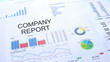 © motortion - Company report lying on table, graphs charts and diagrams, official document