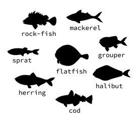 Vector set of black sea fish silhouettes with text. Collection of isolated on white background monochrome halibut, animal, rock-fish, mackerel, herring, flatfish, sprat, grouper, cod, perch