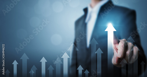 Fotomural Business development to success and growing growth concept