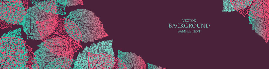 Wall Mural - colorful background with leaves. nature banner. frame with plants. template