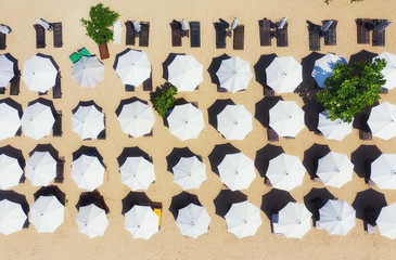 Wall Mural - umbrellas as a background from top view. beach and sand background from top view. summer seascape fr