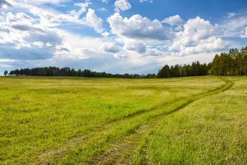 Wall Mural - country road and clouds over a green meadow