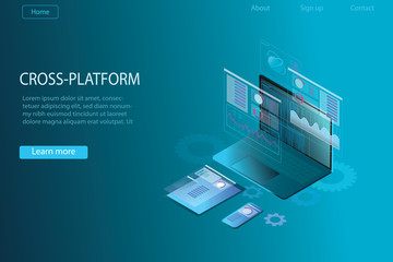 web development and coding. cross platform development website. adaptive layout internet page or web