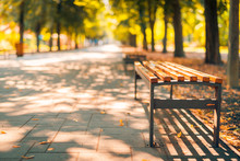 Empty Bench In The Autumnal Park With Blurred Colorful Background