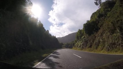 Wall Mural - Drive POV view of  West Coast, New Zealand