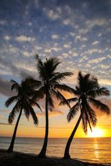 Wall Mural - Sunset over Ouvea lagoon on Ouvea Island, Loyalty Islands, New Caledonia