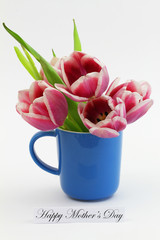Wall Mural - Happy Mothers day card with three colorful tulips in blue mug on white background