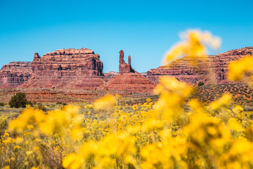Wall Mural - valley of the gods, utah, usa