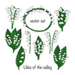 Lilies of the valley vector set