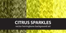 Herringbone Pattern Set Citrus Sparkles. Vector Seamless Parquet Backgrounds