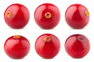 cranberry isolated on white background, clipping path, full depth of field