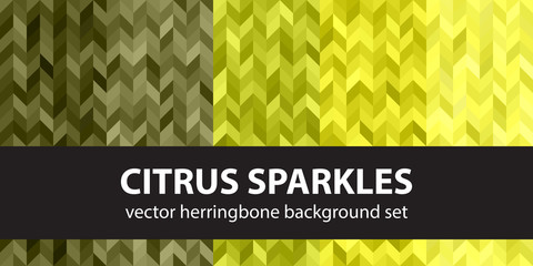 Herringbone pattern set Citrus Sparkles. Vector seamless parquet backgrounds