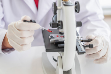 Wall Mural - a scientist hands working in laboratory with test tube microscope and solutions.