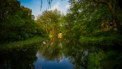 Poster - Natural scenery photographed in the park