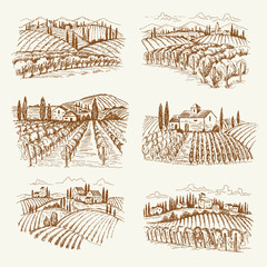 Wall Mural - vineyard landscape. france or italy vintage village wine vineyards vector hand drawn illustrations. 