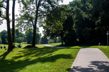 Beautiful park scene in public park