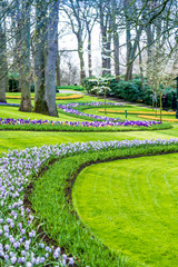 Wall Mural - Keukenhof park in Netherlands