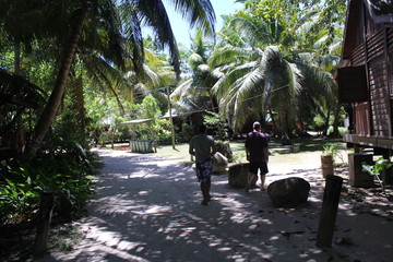 North island seychelles beach Indian Ocean palms