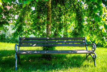 Wall Mural - old bench