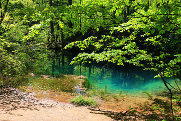 Sticker - River source in the mountainous forest