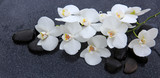 Fototapeta Kuchnia - Still life with spa stones and white orchid.