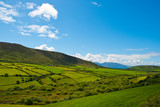 Fototapeta Krajobraz - Typical green Irish country side with blue sky and cluds