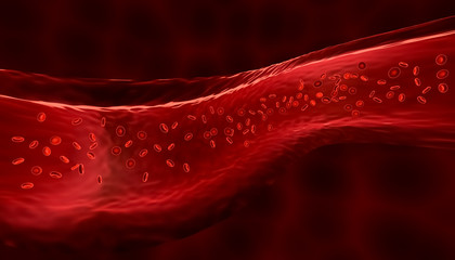 Red blood cells or corpuscles flowing through a vein. Medical and micro biology 3d render illustration.