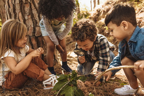 Fotomural Kids exploring in forest with a magnifying glass