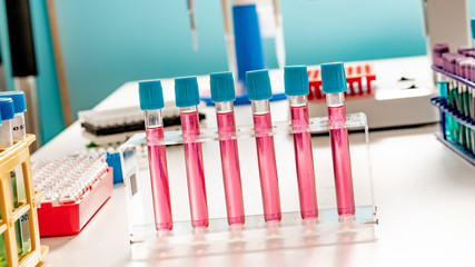 Poster - Test tubes and flasks in a chemical laboratory