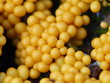 © Valter - Egg-shell Slime Mould (Leocarpus fragilis)