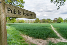 Close Up View Of A Public Footpath Sign In Surrey, UK. The Fingerpost Points To A Muddy Path Crossing A Field To Trees In The Distance Under A Cloudy Sky, Taken With A Shallow Depth Of Field.