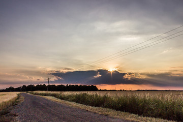 Dramatic sunset over a wheat field with farm track