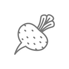 Sticker - Beet, beetroot, vegetable line icon.